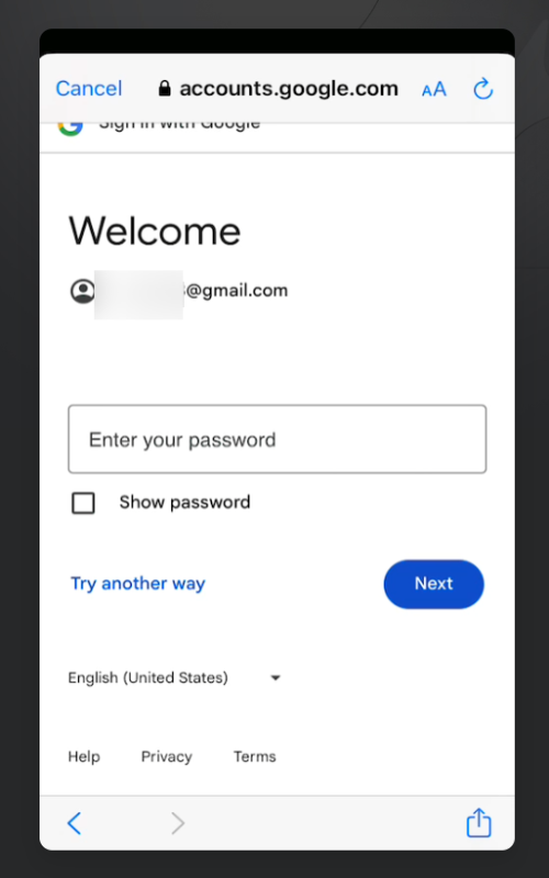 Screenshot: sign in (password)